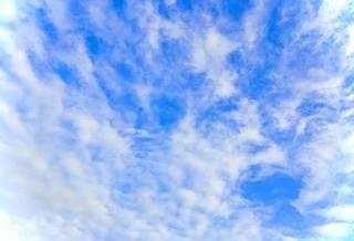 ☀️おはようございます☁️