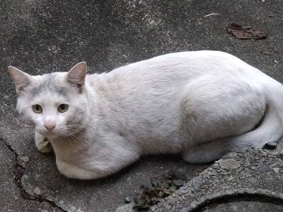 ありがとうございました