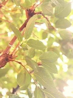 今日のお礼🌱