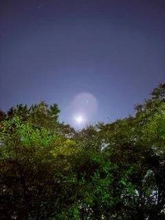 一緒に空を見ませんか🌙