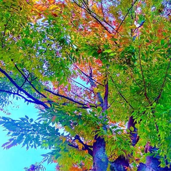 [明日・出勤日]