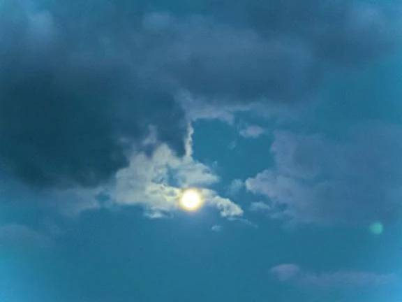 🔅本日出勤日🔅