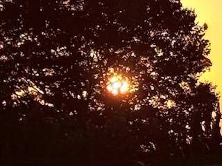 🔆本日出勤日🔆