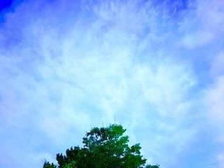 [今週の出勤予定]