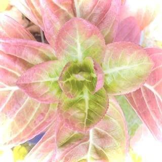 いつもお疲れ様