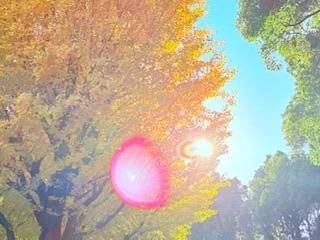 [今週・出勤予定日]