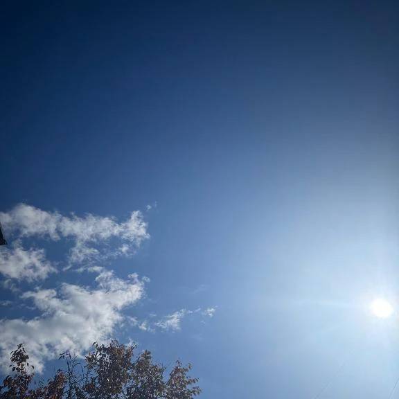 おはようございます