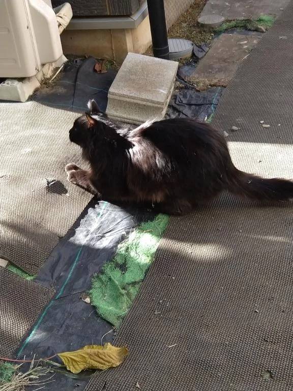 おはようございます