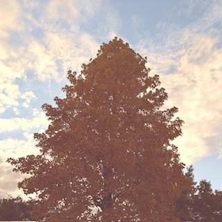 [明日・出勤日]