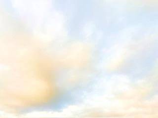 🔆本日出勤日🔆