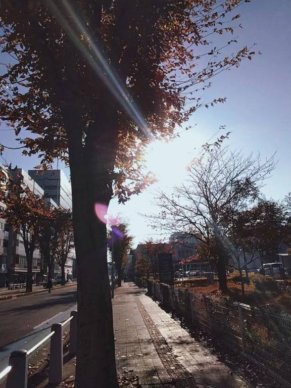 おひさまぽかぽか☀️