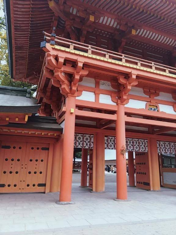 🌈✨ありがとうございます✨大木のパワーをいただきました🌈✨