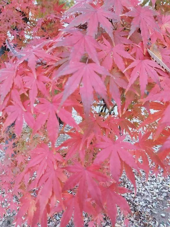 🌈歩こう🌈歩こう🌈