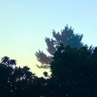 気をつけないと…