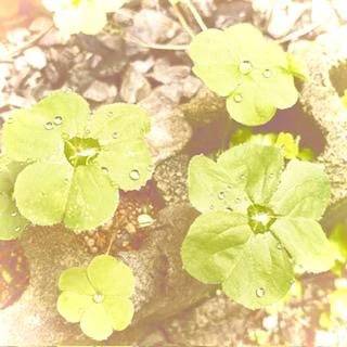 ご予約ありがとうございます🫧