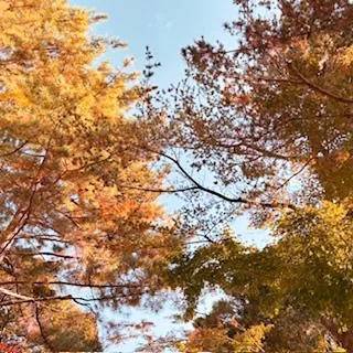 [明日・出勤日]