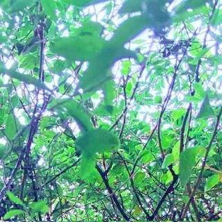 [明日・出勤日]