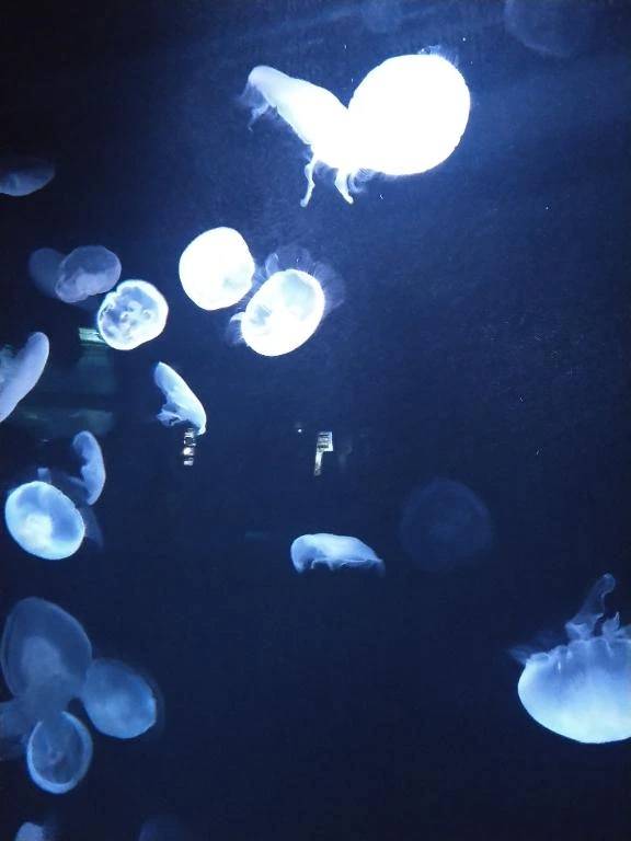 サンシャイン水族館💓