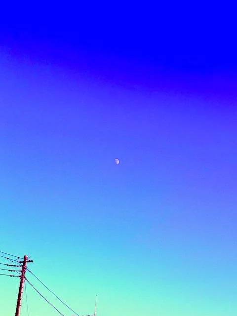 今週はお休み🪺