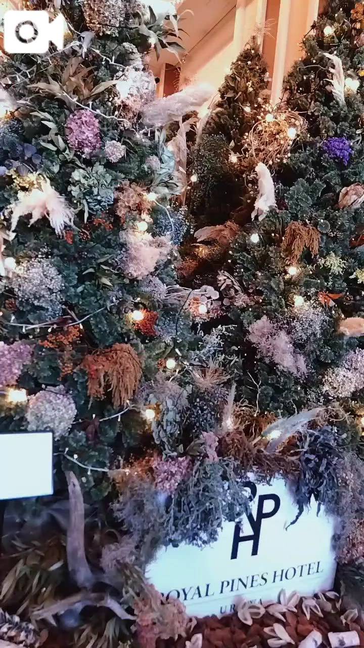 💕憧れ💕ロマンチック💕