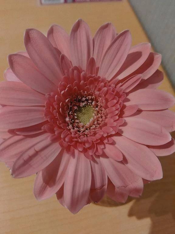 朝散歩〜新大久保編〜