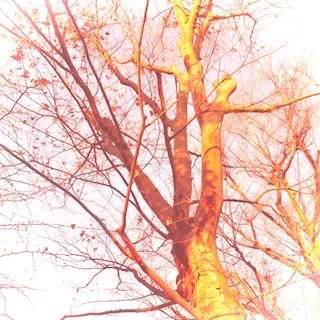 おつかれさまです🫧