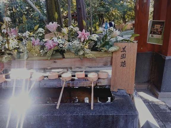 ⛩️大宮氷川神社⛩️