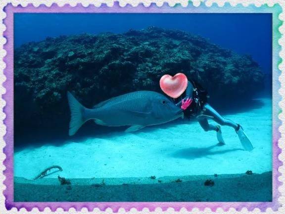 次回はクジラと一緒に遊泳だぁ