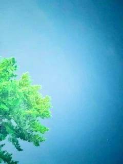 貸切ありがとうございます🫧