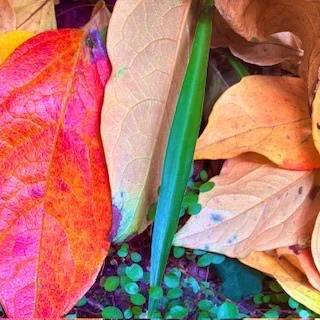 📖予約について📖