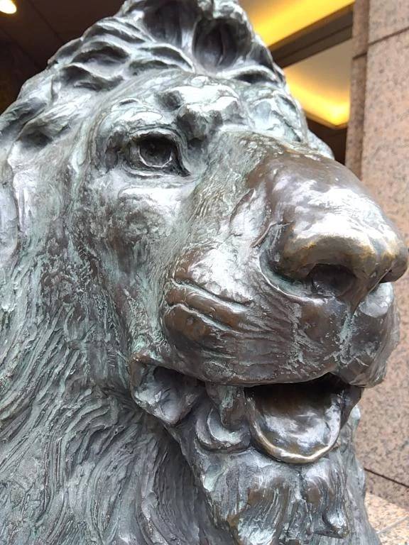 🦁ライオンくん🦁