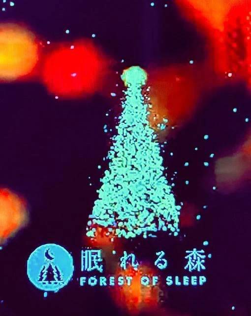 疲れていませんか☘️