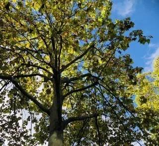 予定の変更ありがとうございます🫧