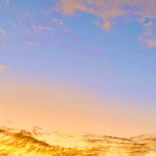 [年末の出勤予定日]