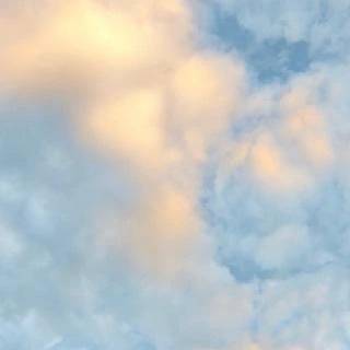 🔆本日出勤日🔆