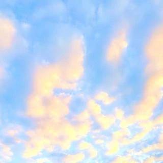 🌤️おはようございます☀️