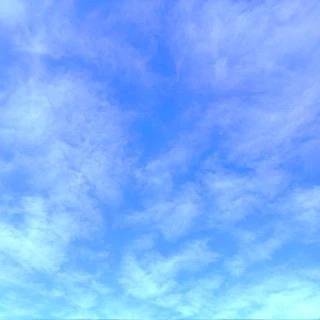 🌤️おはようございます☁️