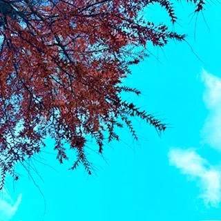 みと(出会い系 人妻ネットワーク 春日部~岩槻編)