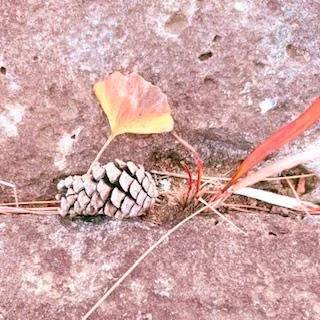 [明日・出勤日]