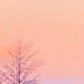 🔅本日出勤日🔅