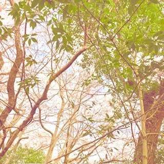 [年始・空き時間]