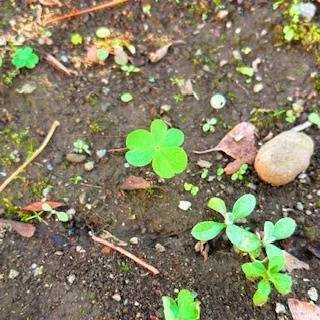 [今週の空き時間]