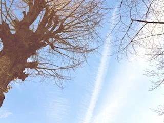 [明日・出勤日]