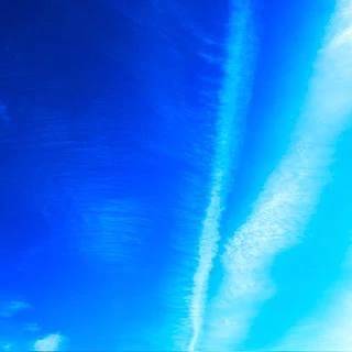 🔅本日出勤日🔅