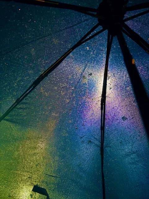 ❄️(｡･ω･｡)❄️