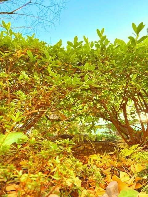 [明日・出勤日]