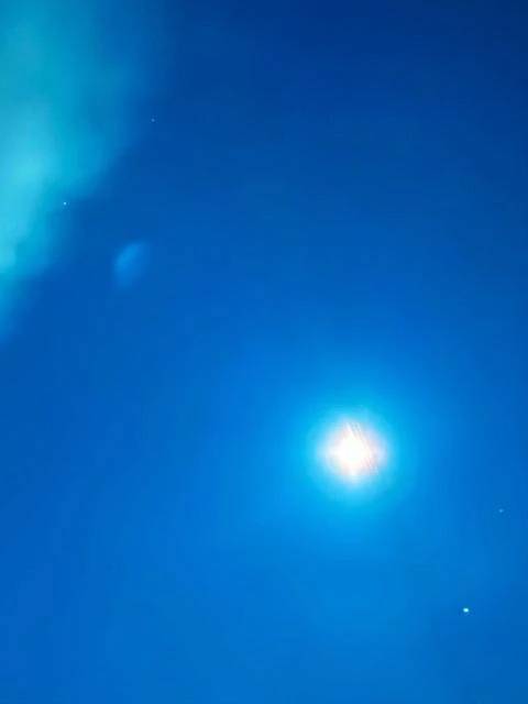 [今週・出勤予定日]