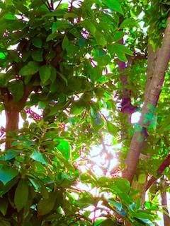 🥤今日のお礼🍽️