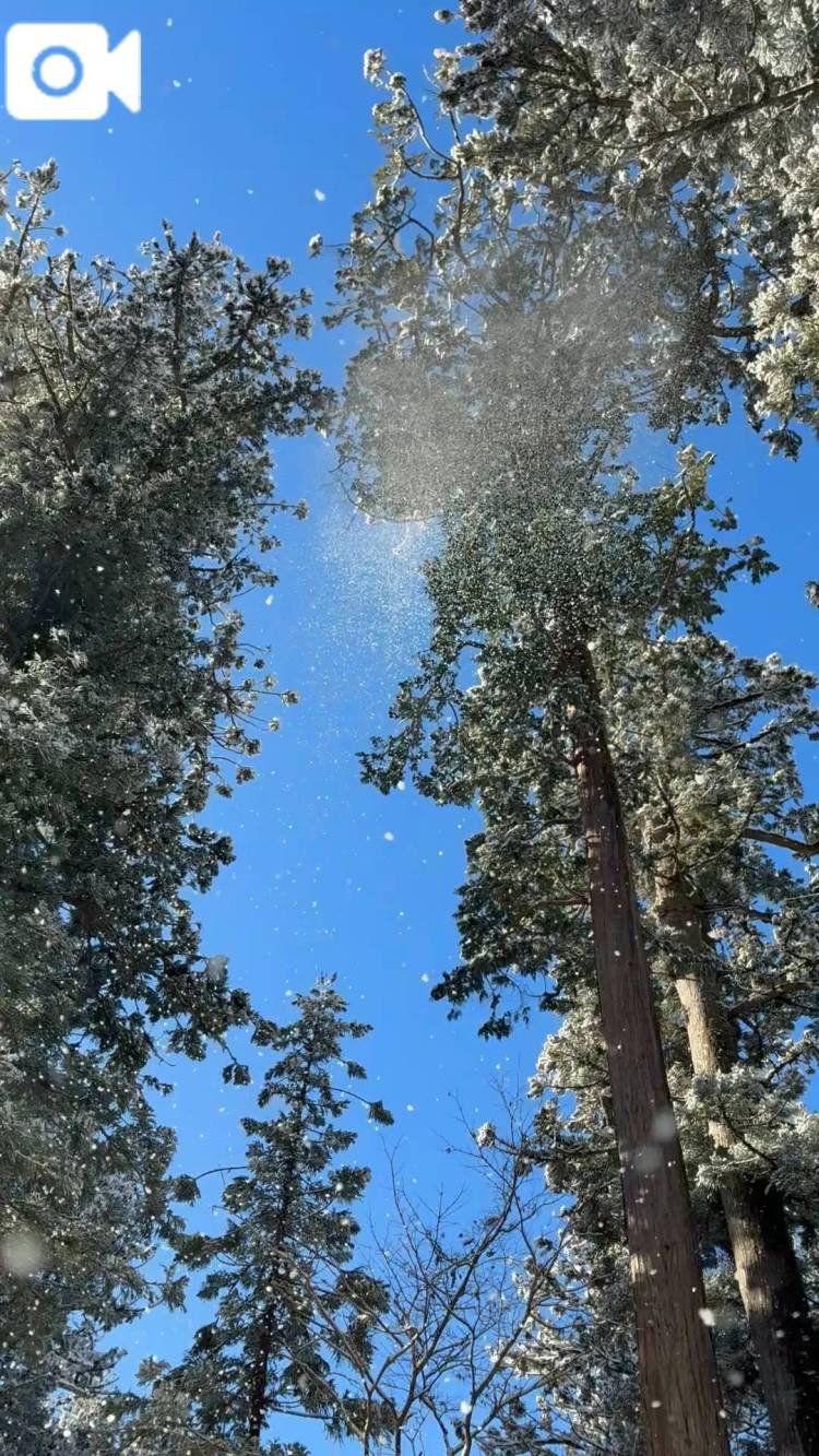 ❄️さらさらキラキラ✨