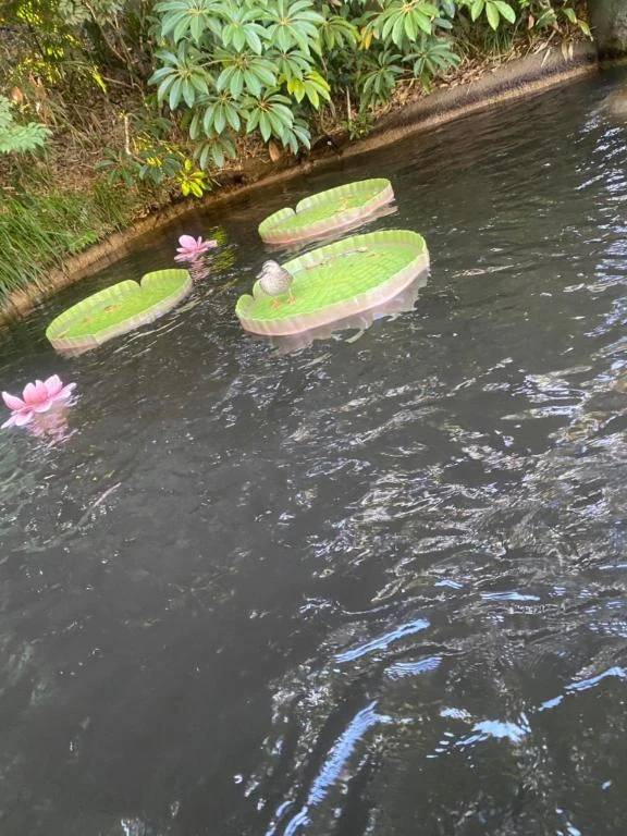 お久しぶりです✨